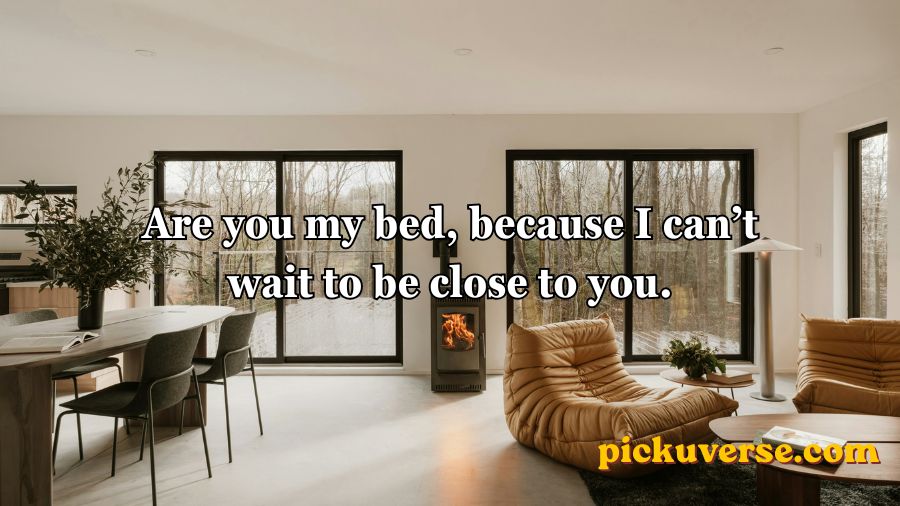 Furniture Pickup Lines