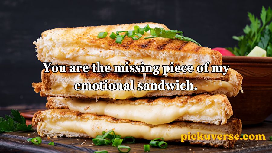 Sandwich Pickup Lines
