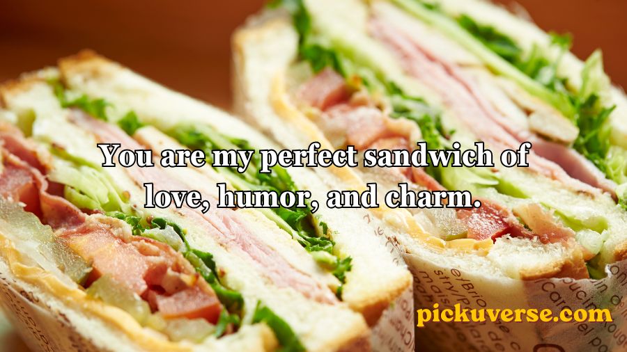 Sandwich Pickup Lines