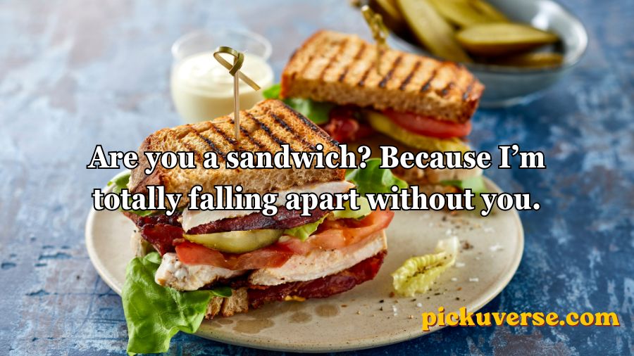 Sandwich Pickup Lines