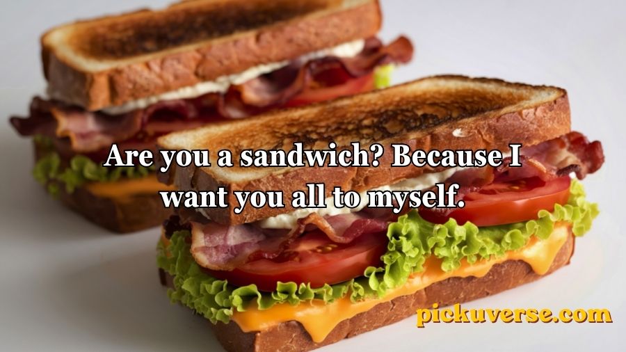 Sandwich Pickup Lines