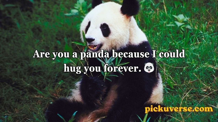 Animal Pick Up Lines