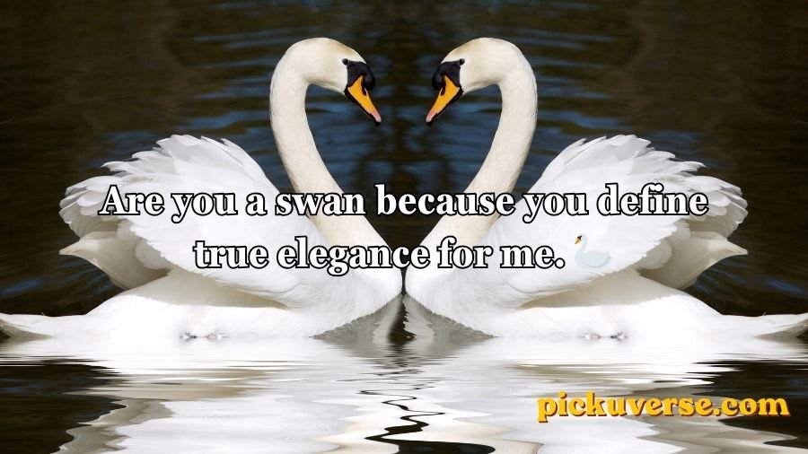 Animal Pick Up Lines