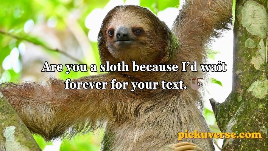 Animal Pick Up Lines