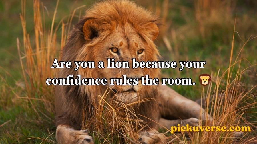 Animal Pick Up Lines