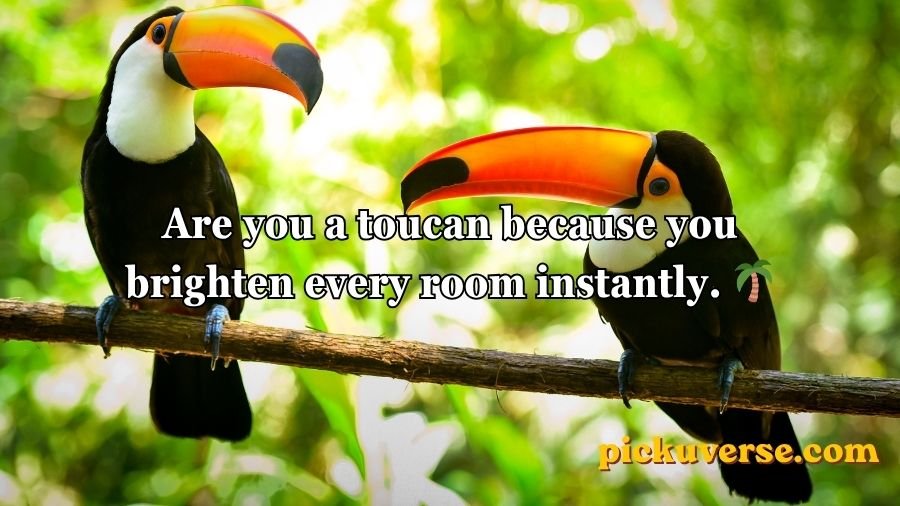 Animal Pick Up Lines
