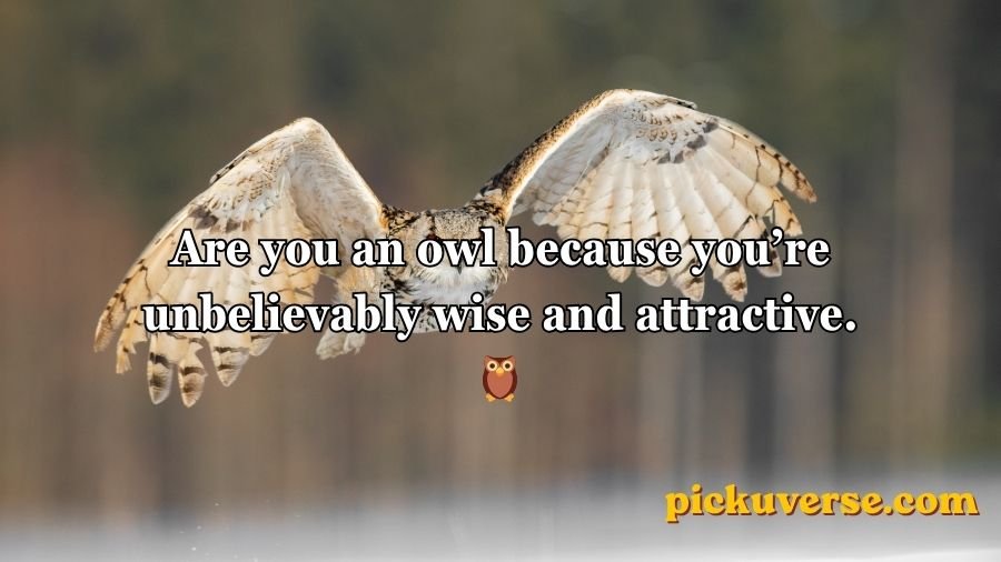 Animal Pick Up Lines