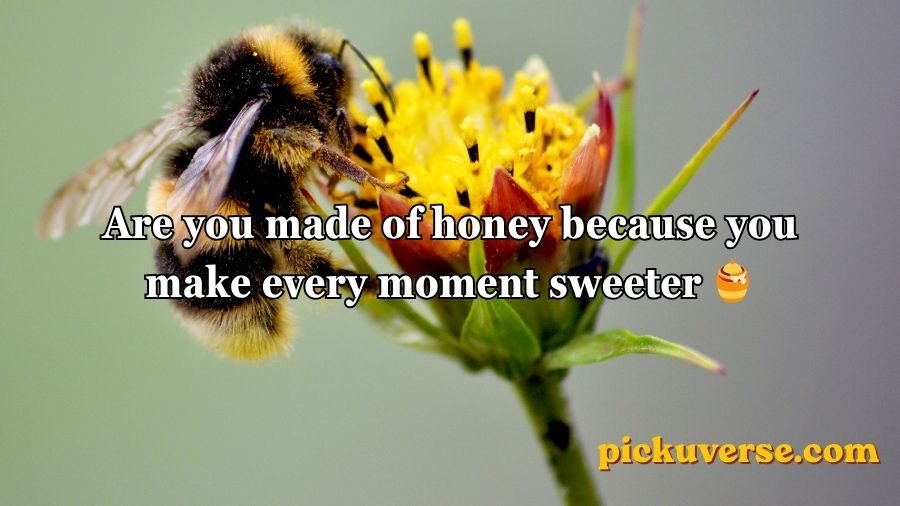 Bee Pick Up Lines
