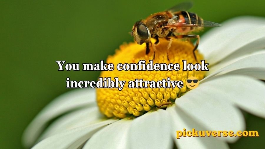 Bee Pick Up Lines