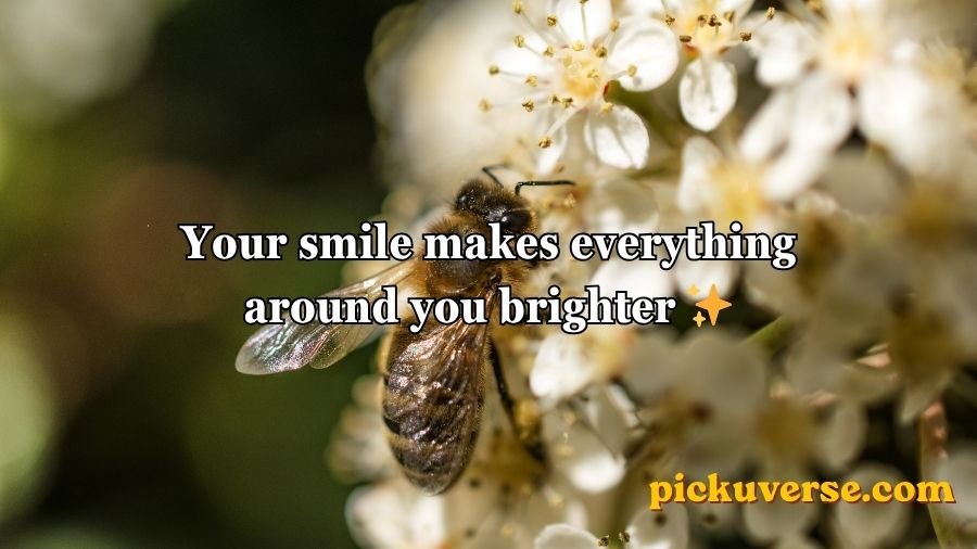 Bee Pick Up Lines
