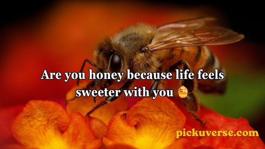 Bee Pick Up Lines