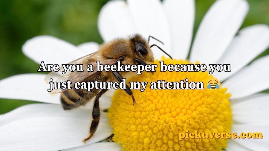 Bee Pick Up Lines