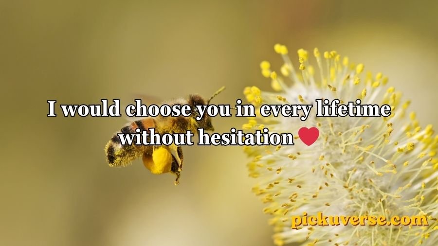Bee Pick Up Lines