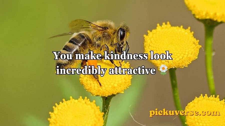 Bee Pick Up Lines