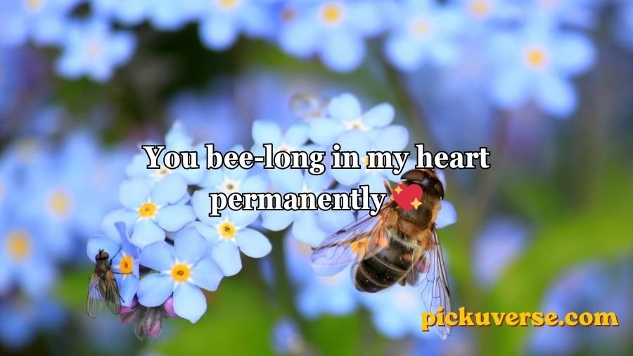 Bee Pick Up Lines