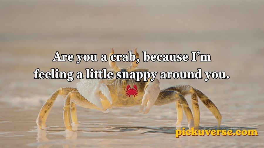 Best Beach Pickup Lines