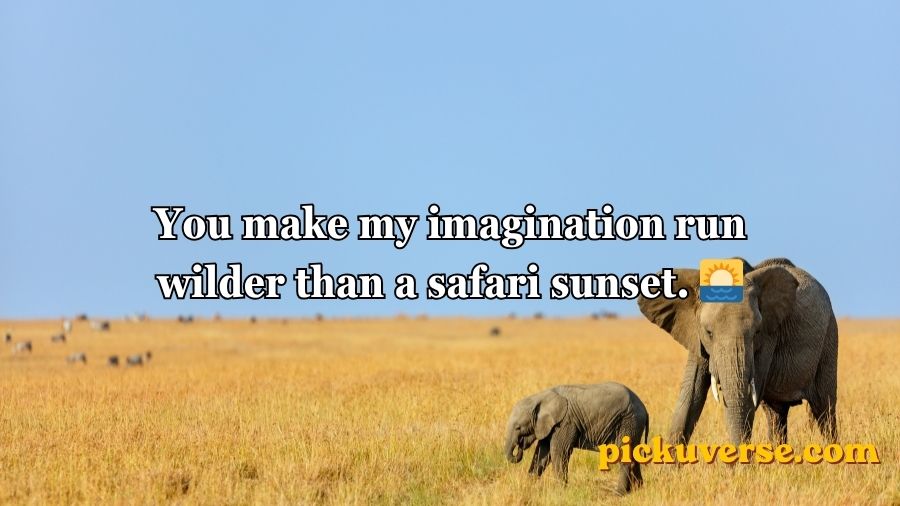 Best Elephant Pick Up Lines And Rizz