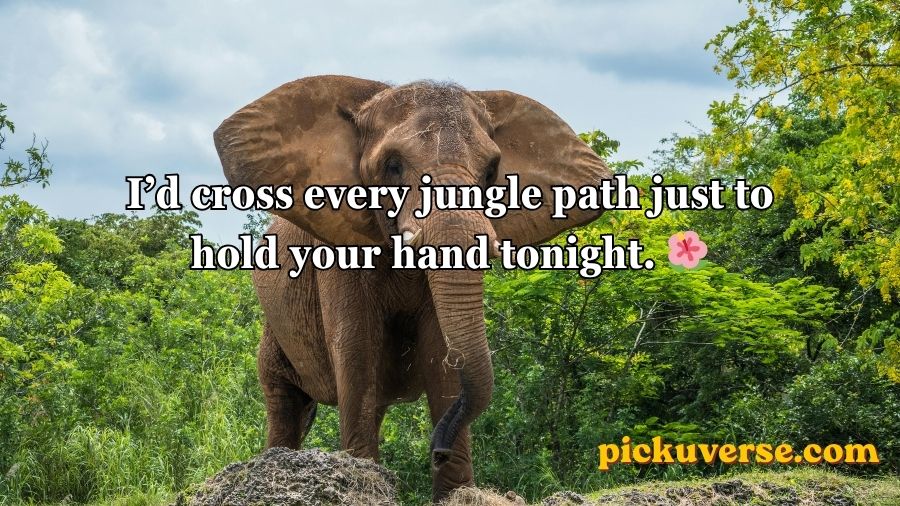 Best Elephant Pick Up Lines And Rizz