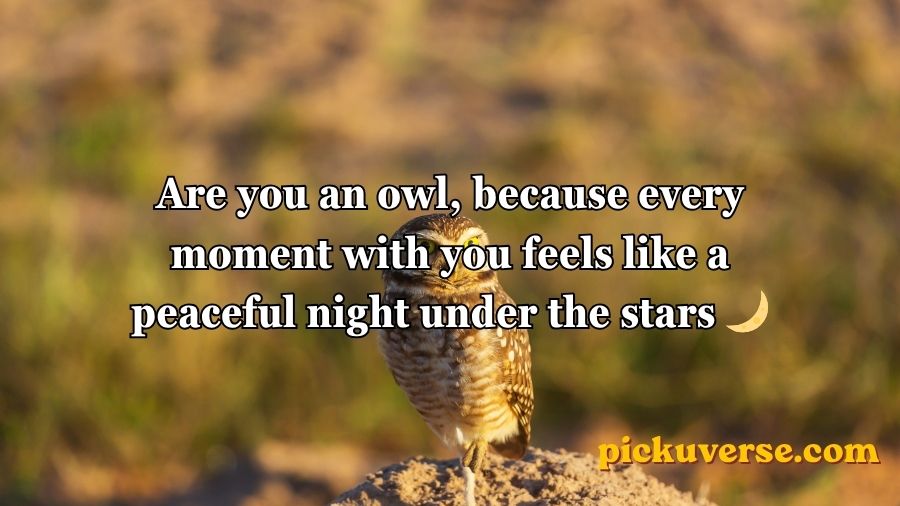 Best Owl Pick Up Lines