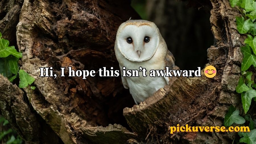 Best Owl Pick Up Lines