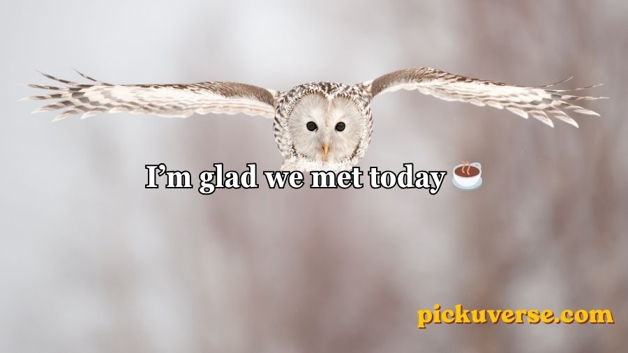 Best Owl Pick Up Lines