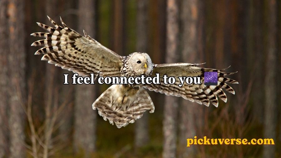 Best Owl Pick Up Lines