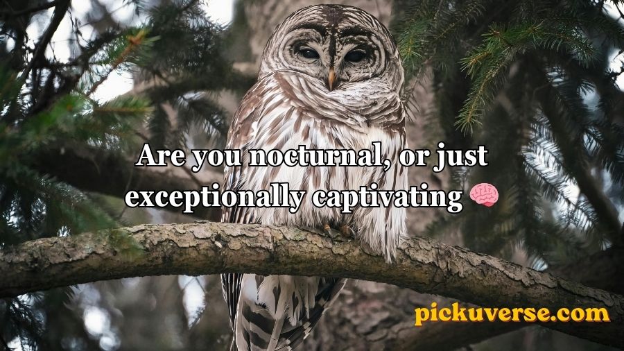 Best Owl Pick Up Lines
