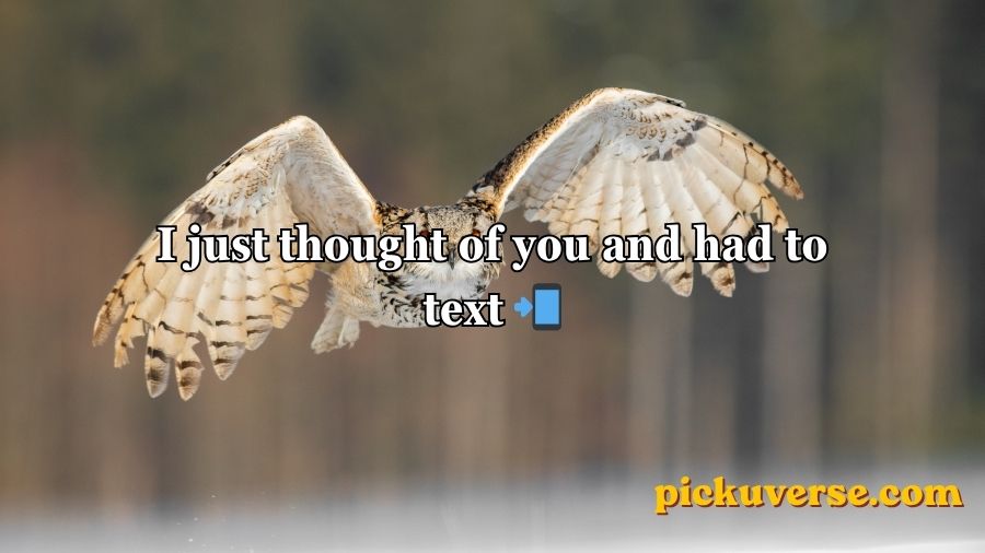 Best Owl Pick Up Lines