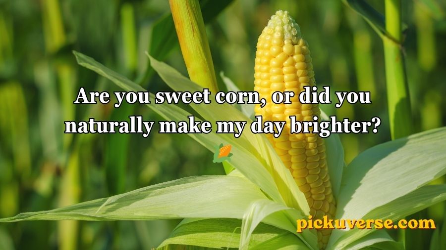 Corn Pick Up Lines