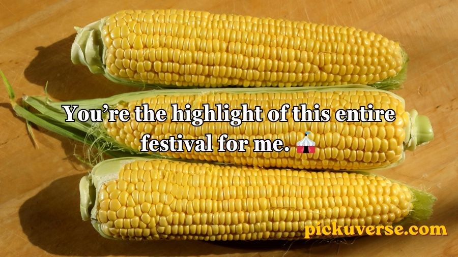 Corn Pick Up Lines