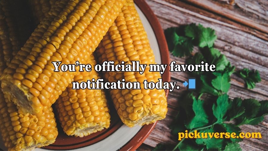 Corn Pick Up Lines