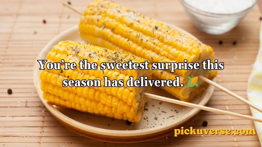 Corn Pick Up Lines