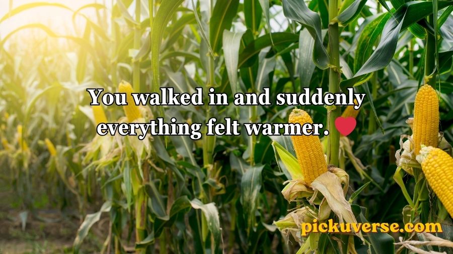 Corn Pick Up Lines