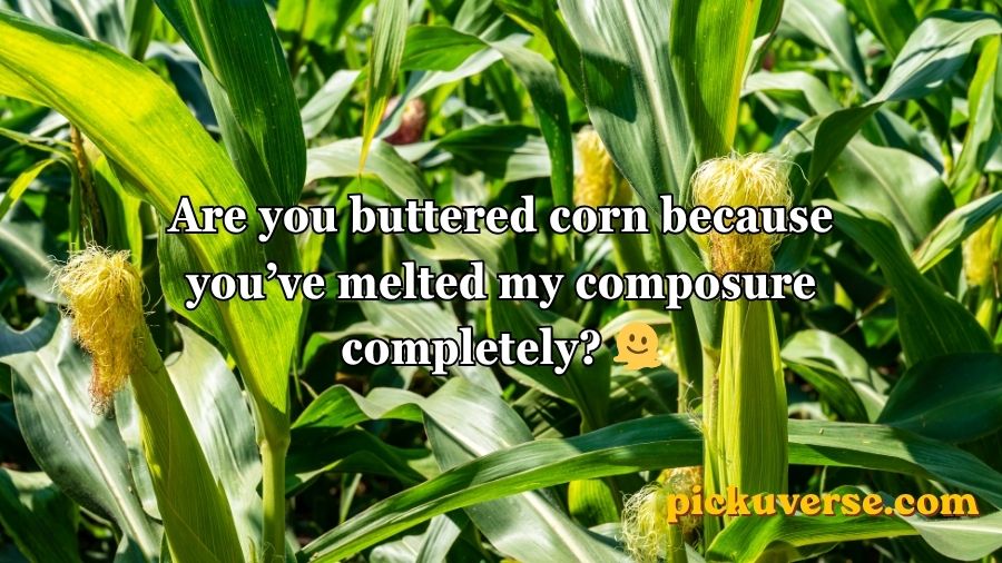 Corn Pick Up Lines
