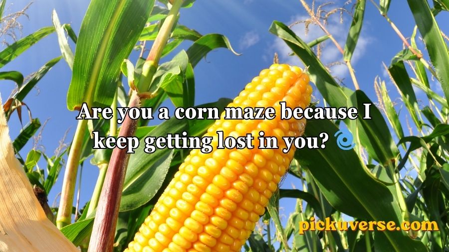 Corn Pick Up Lines