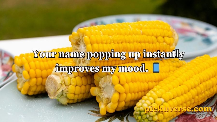 Corn Pick Up Lines