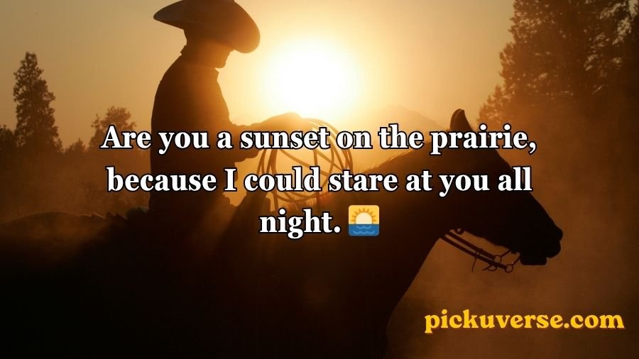 Cowboy Pick Up Lines