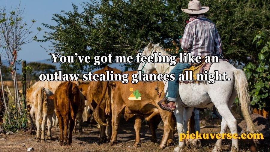 Cowboy Pick Up Lines