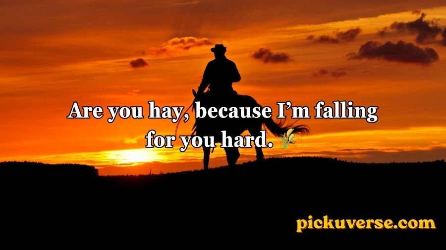 Cowboy Pick Up Lines
