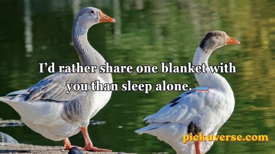 Duck Pick Up Lines