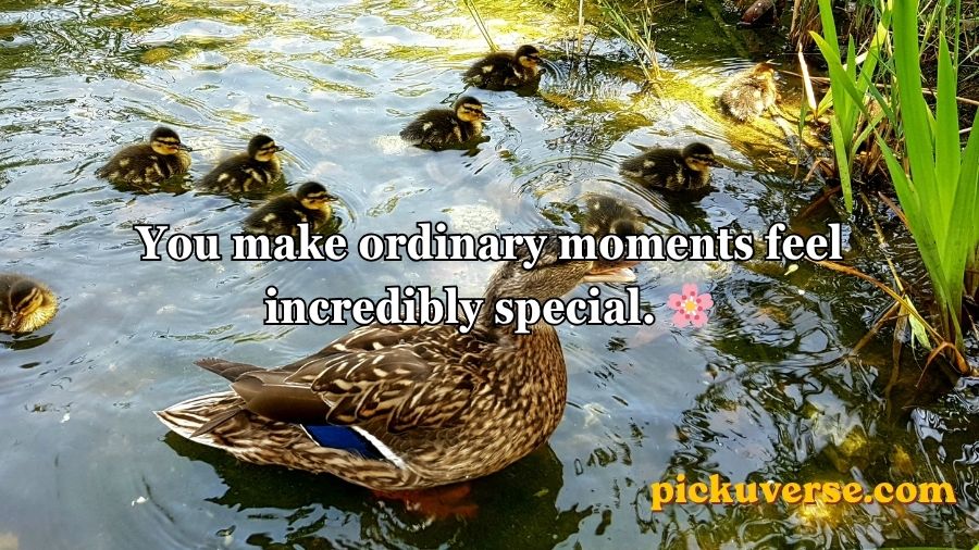 Duck Pick Up Lines