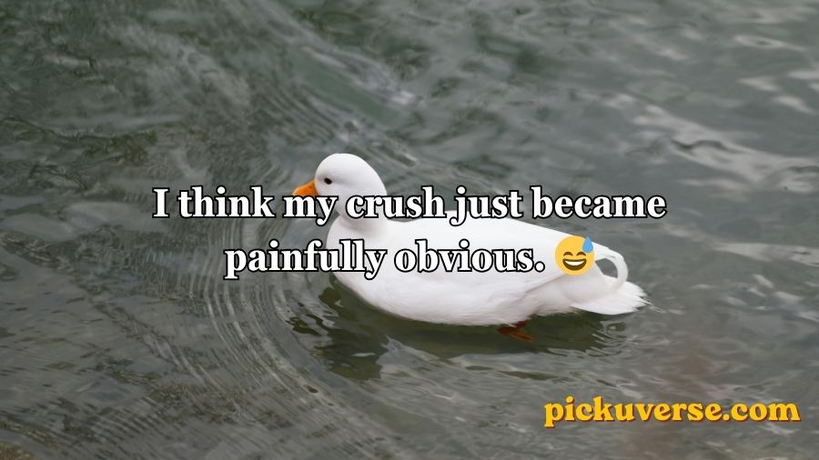 Duck Pick Up Lines