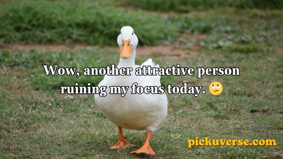 Duck Pick Up Lines