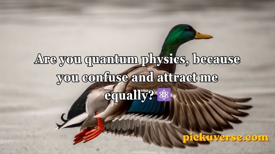 Duck Pick Up Lines
