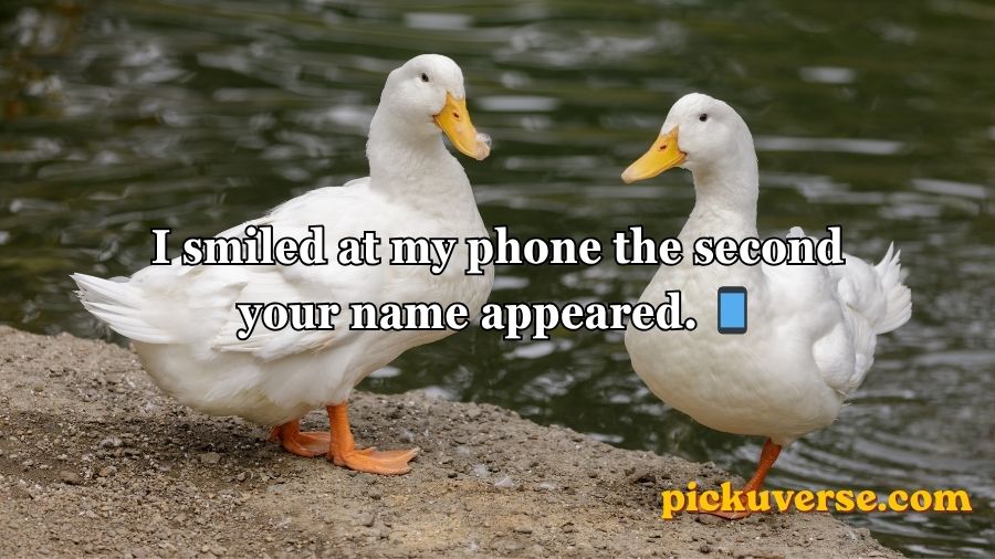 Duck Pick Up Lines