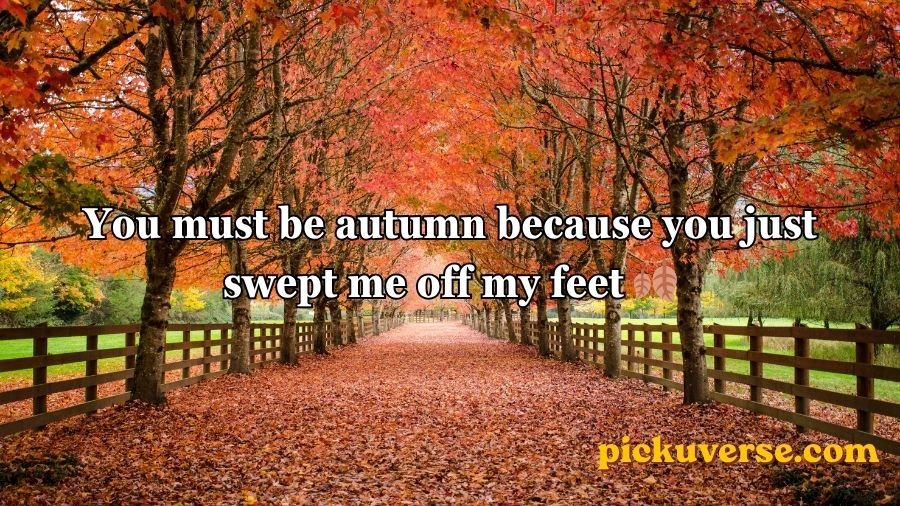 Fall pick up lines