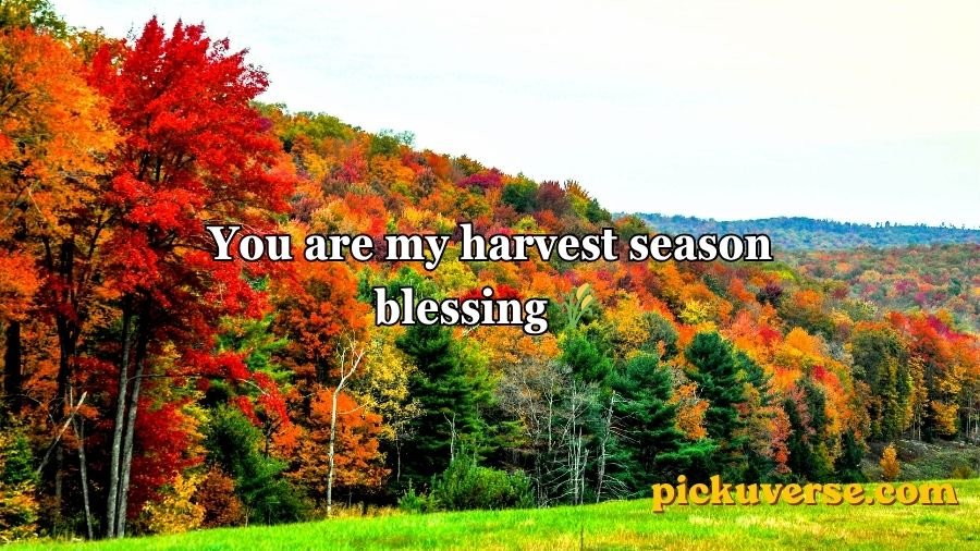 Fall pick up lines
