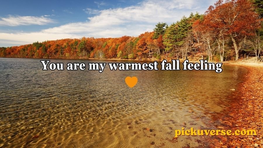 Fall pick up lines