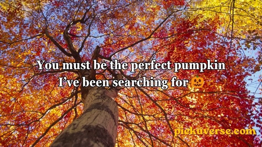 Fall pick up lines