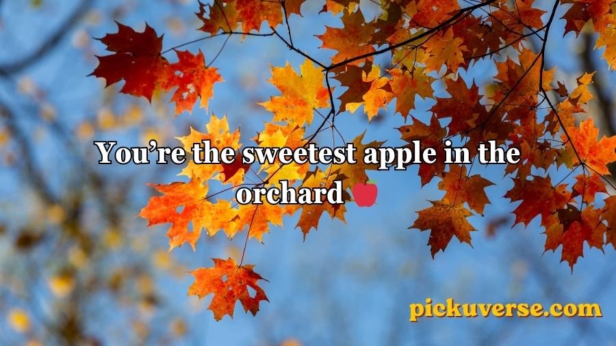 Fall pick up lines